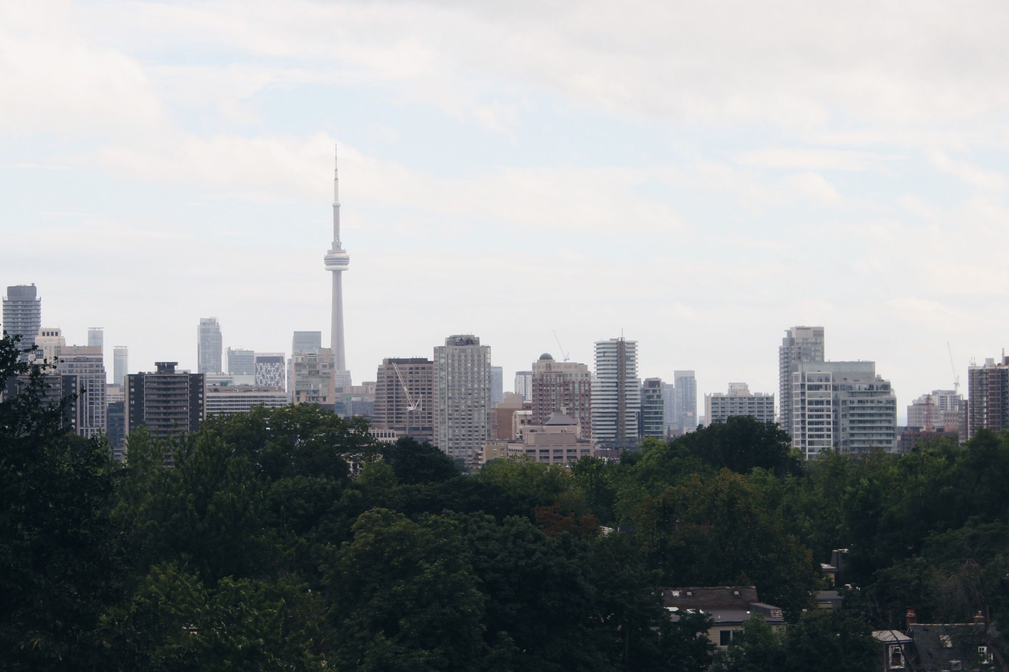 The view south from IBI's office.